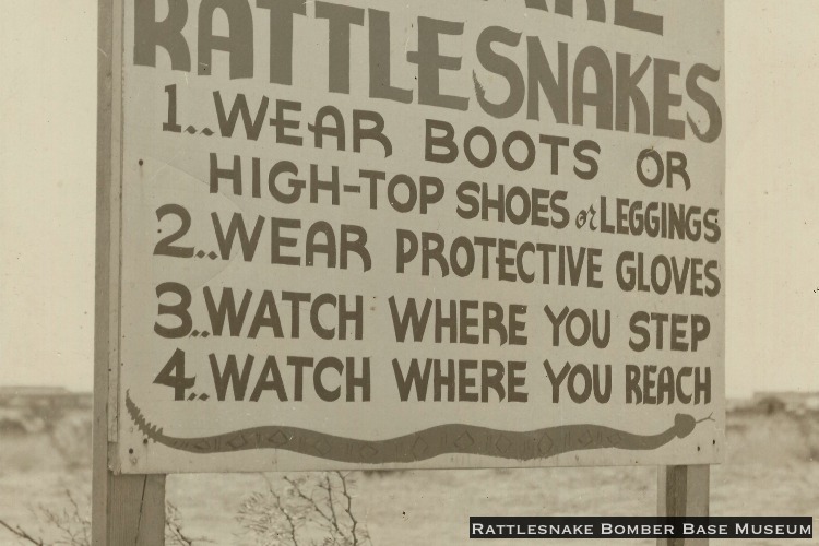 Rattlesnake sign ... Beware!